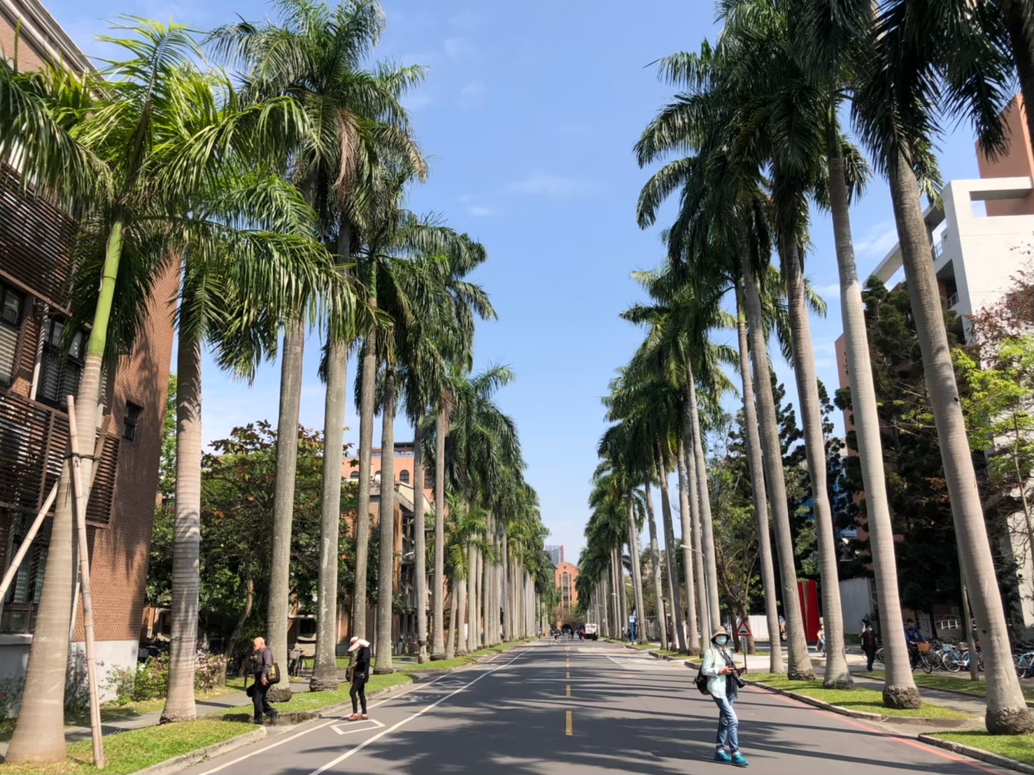 臺大校園
